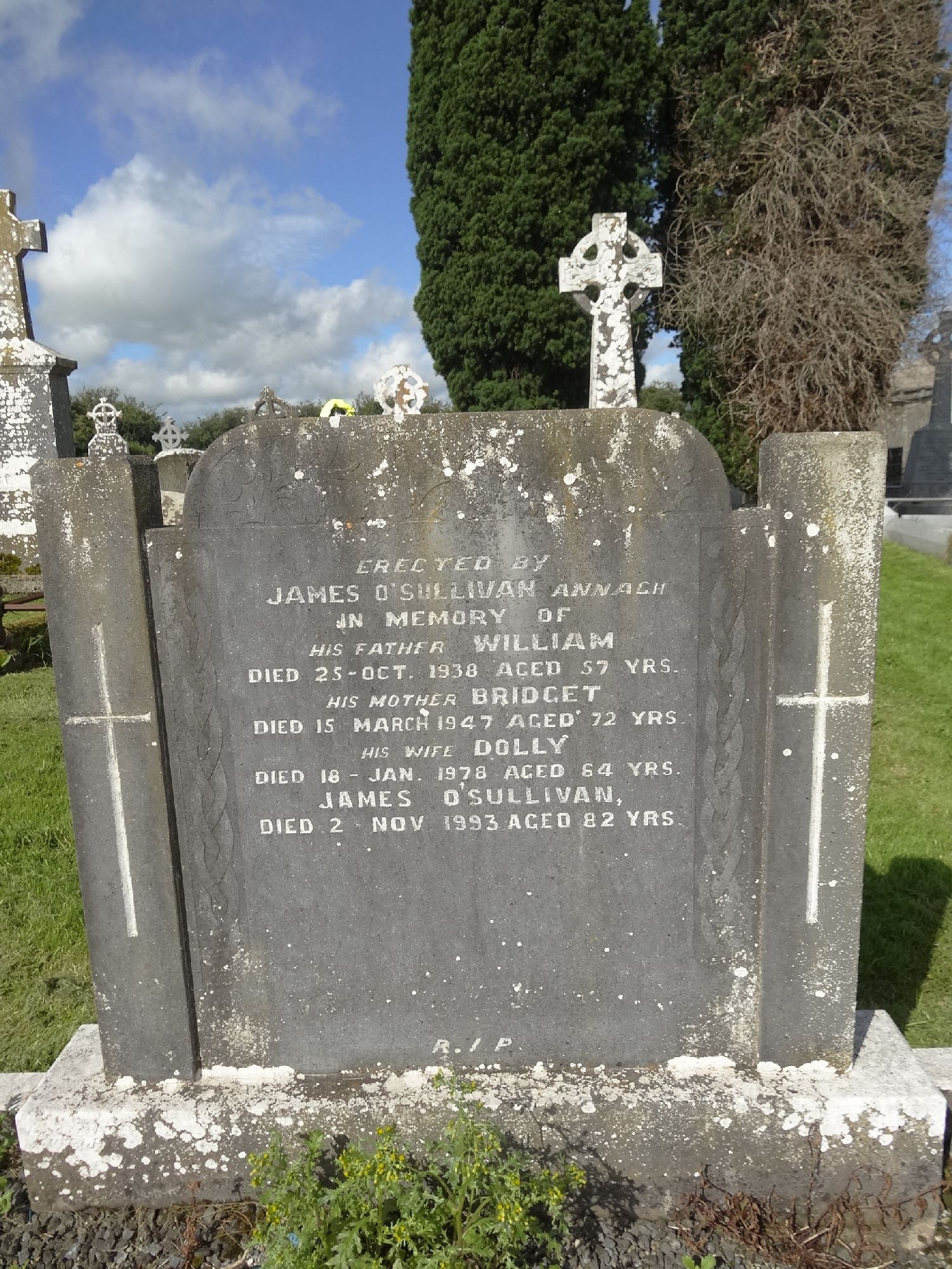 LI-ABGN-0438 | Historic Graves