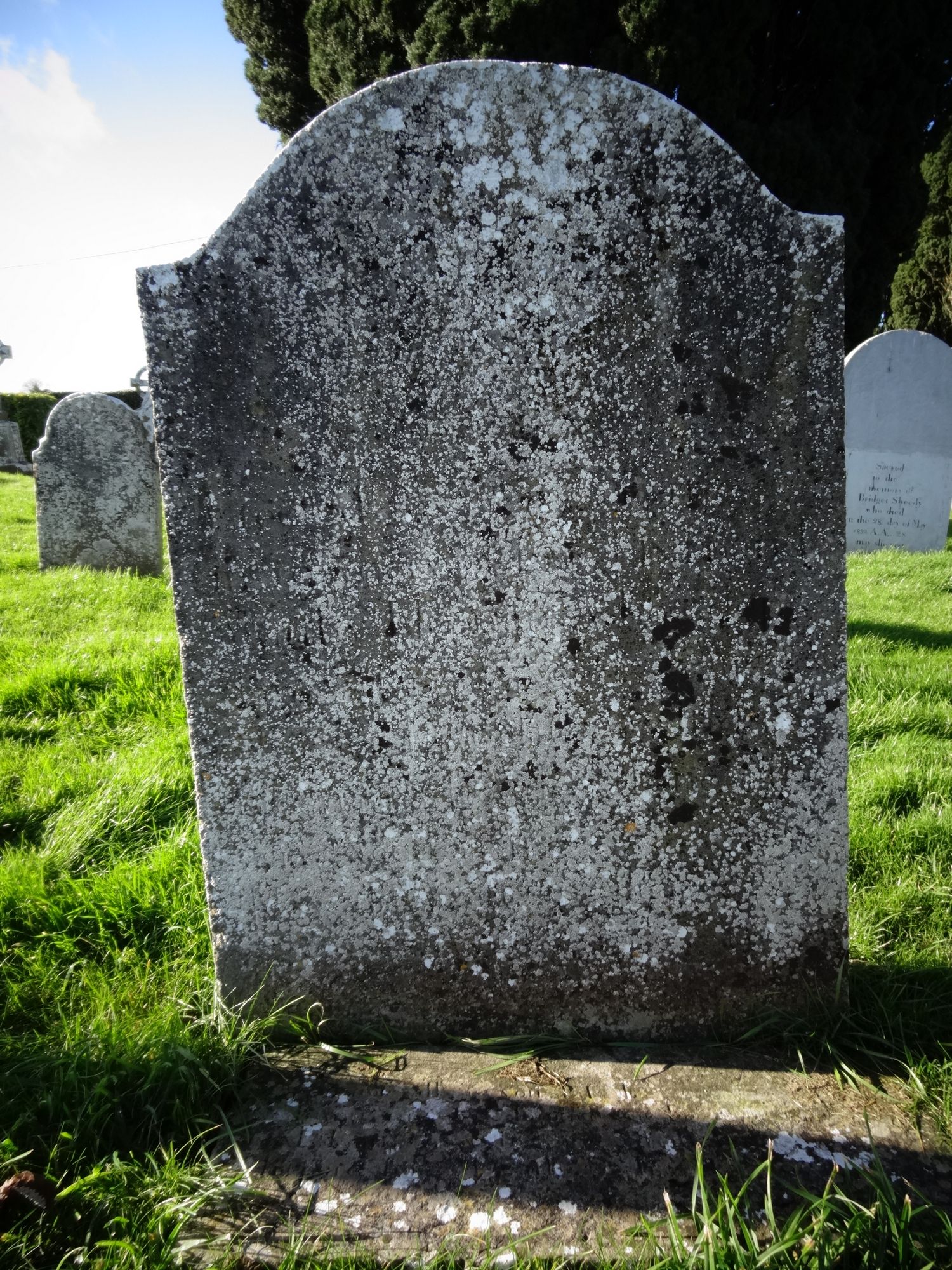 TN-TYGS-0121 | Historic Graves