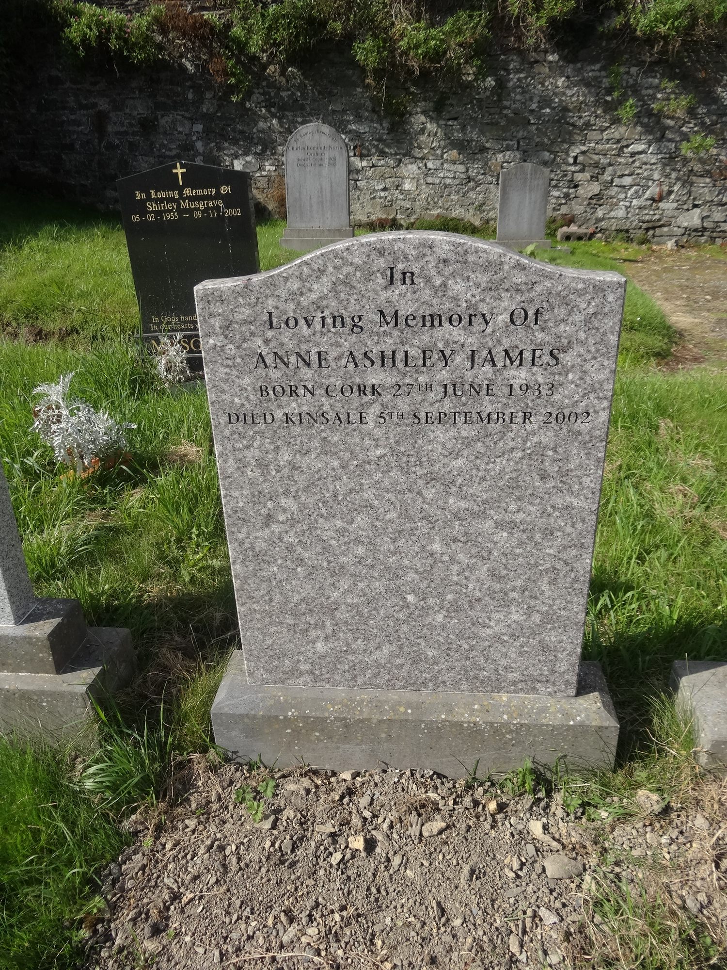 CO-MULT-0341 | Historic Graves