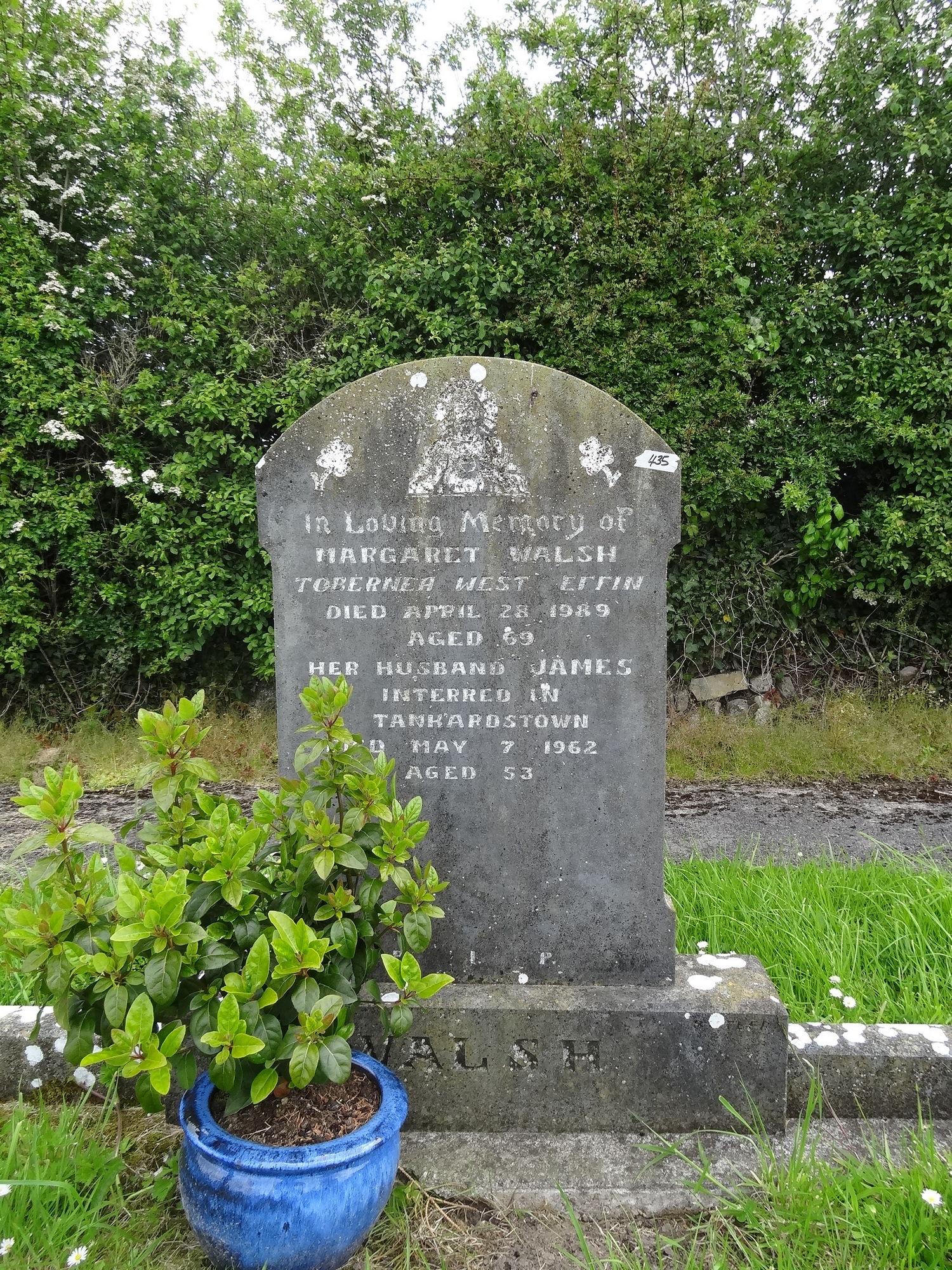 LI-EFFN-0435 | Historic Graves
