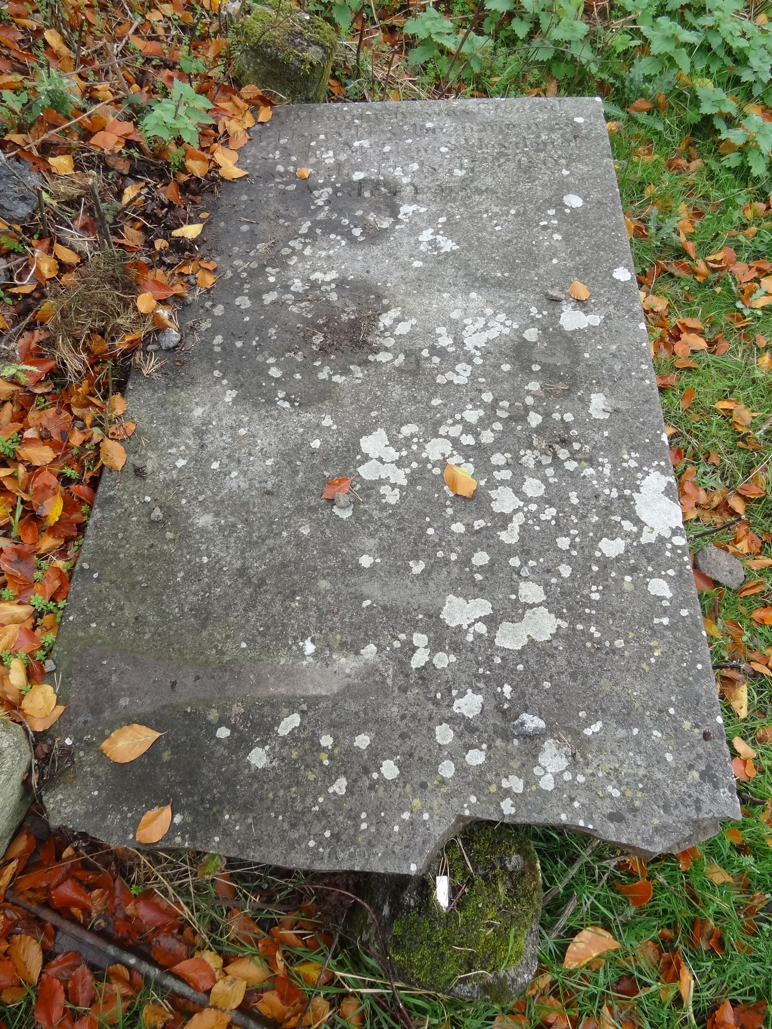 KDMDLN0056 Historic Graves