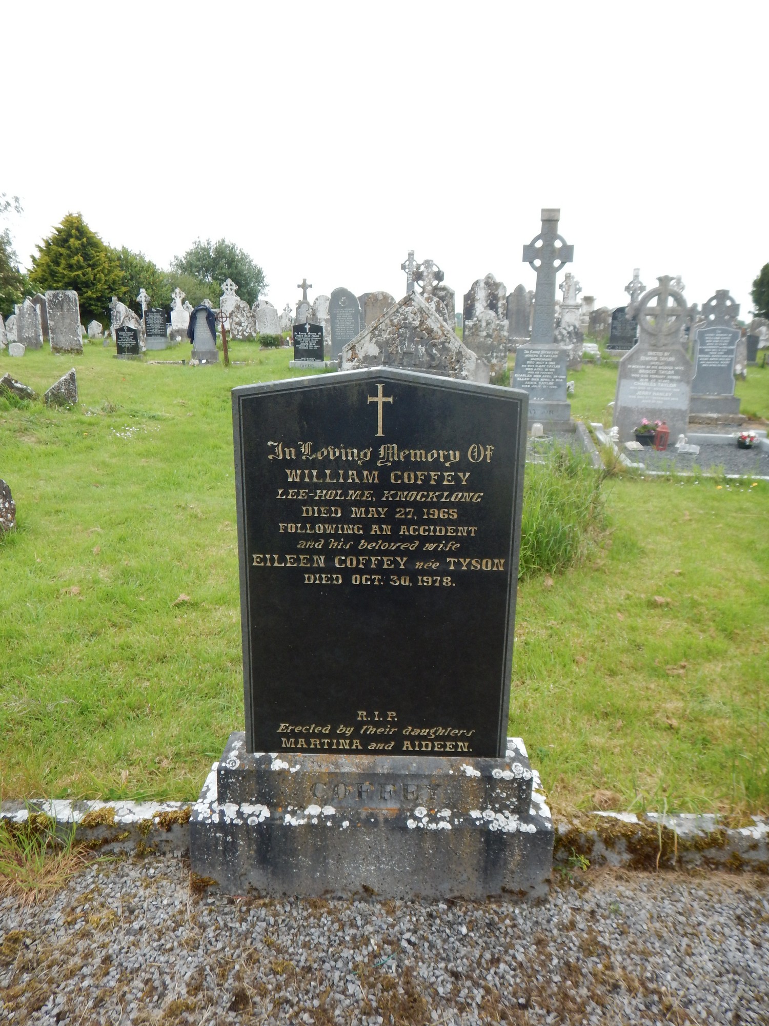 TS-EMOG-0536 | Historic Graves
