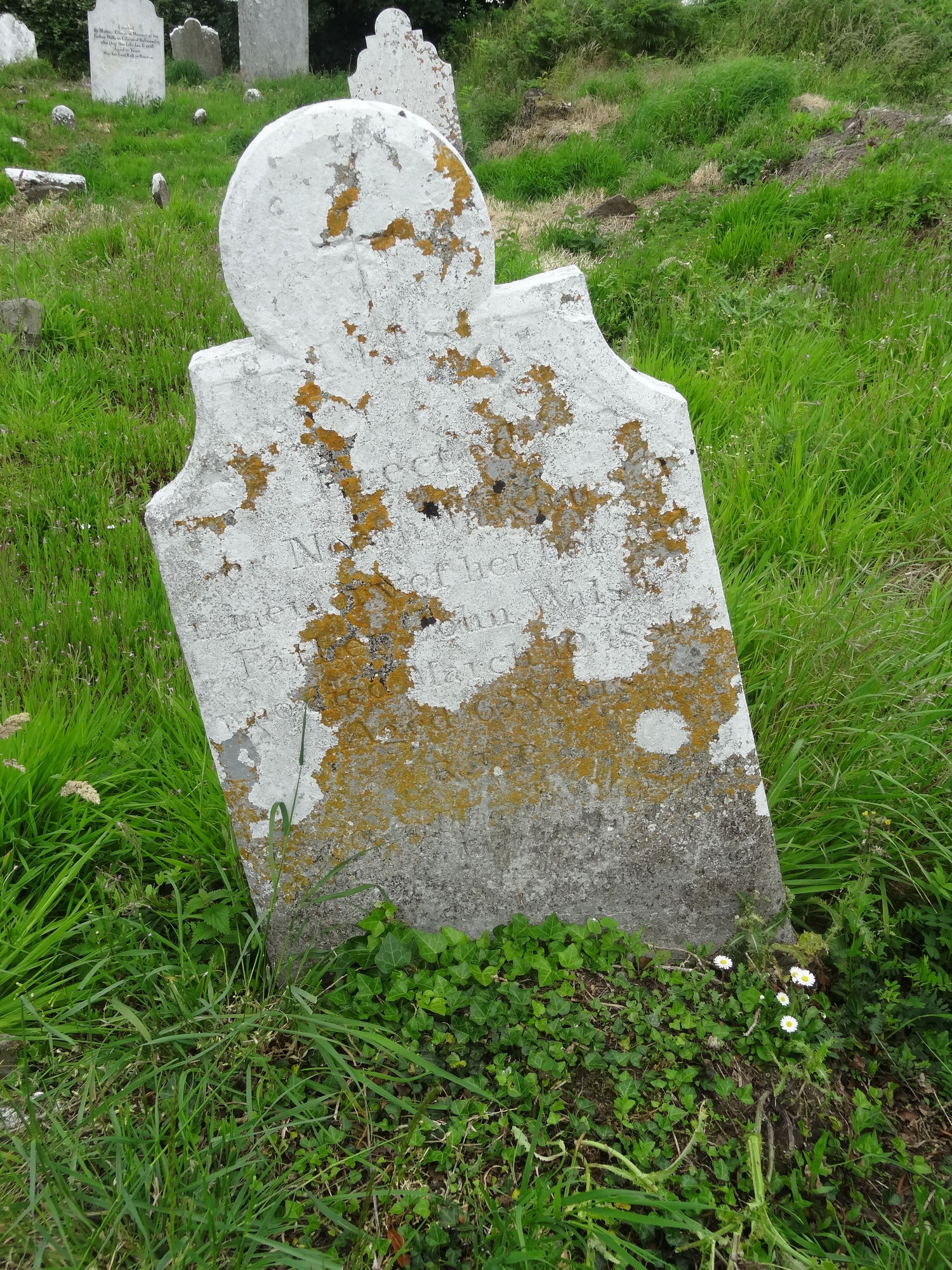 COCLPT124 Historic Graves