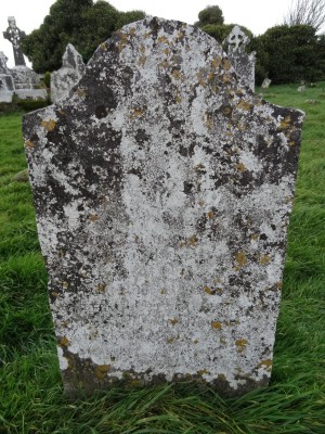 LI-ARDP-0448 | Historic Graves