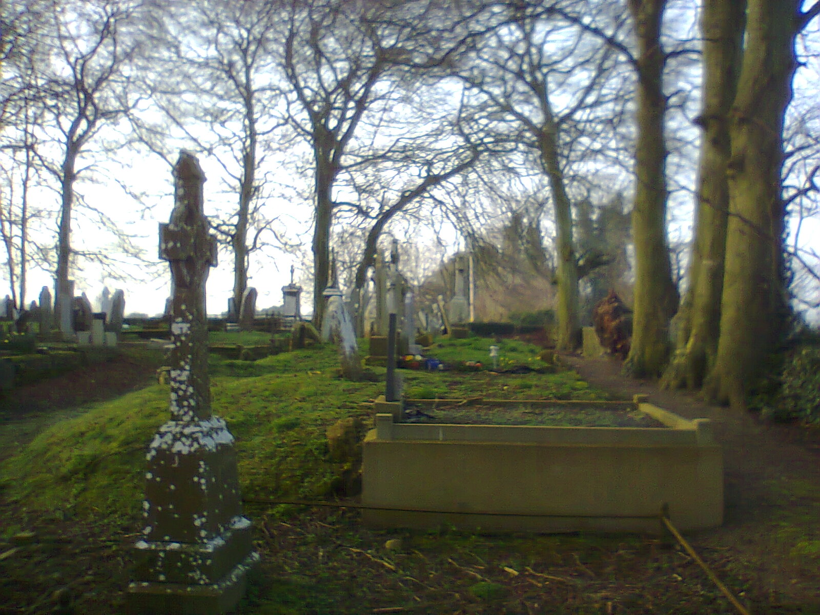 Olga Anderson's picture